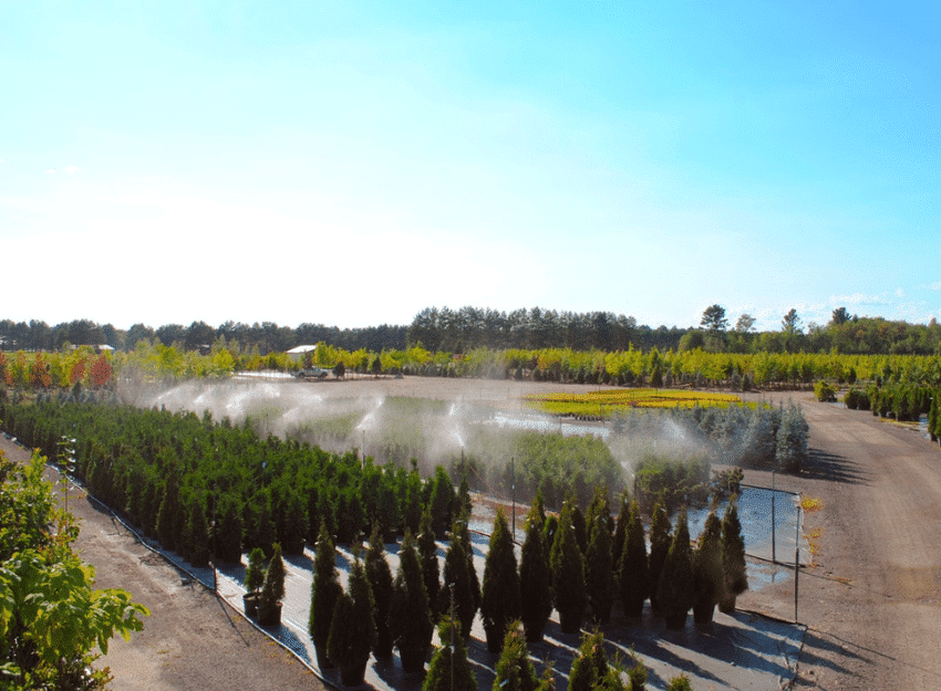 jardin dion pépiniaire de production