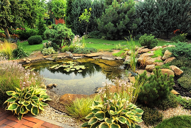 produits de jardinage jardin deau