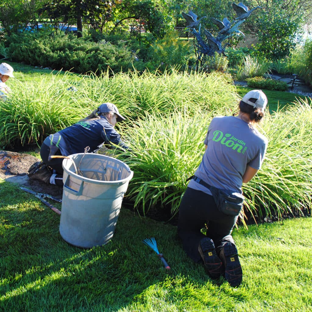 service entretien paysager jardindion