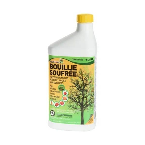 159809d boullie soufree 1l.jpg