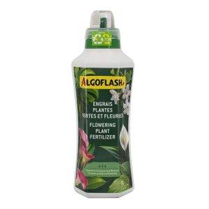 2774613 algoflash plantes 6 3 6 1l.jpg