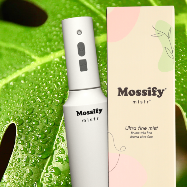 2516936 vaporisateur mossify mistr 02.png