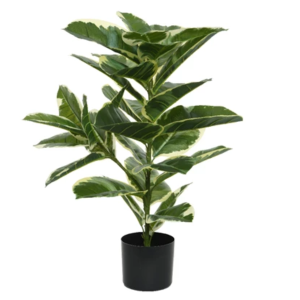 2813513 plante artifi rubber 24x30po 01.png