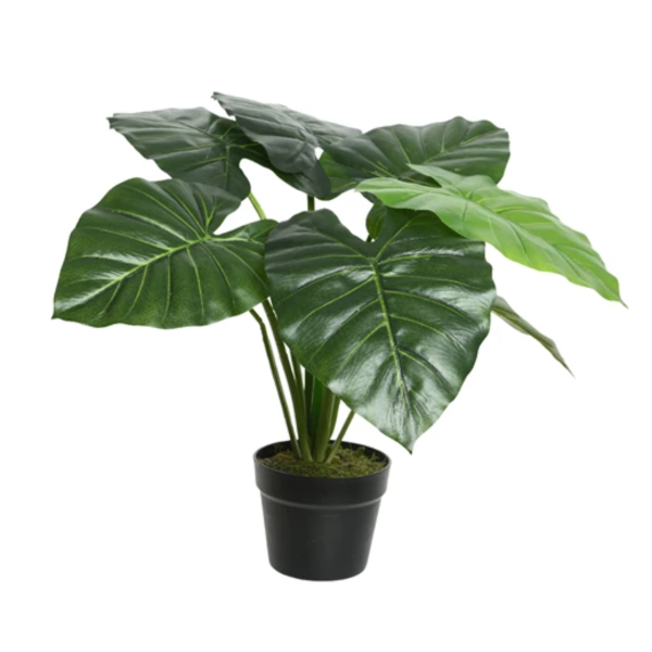 2824418 plante artificielle taro 52cm 02.png