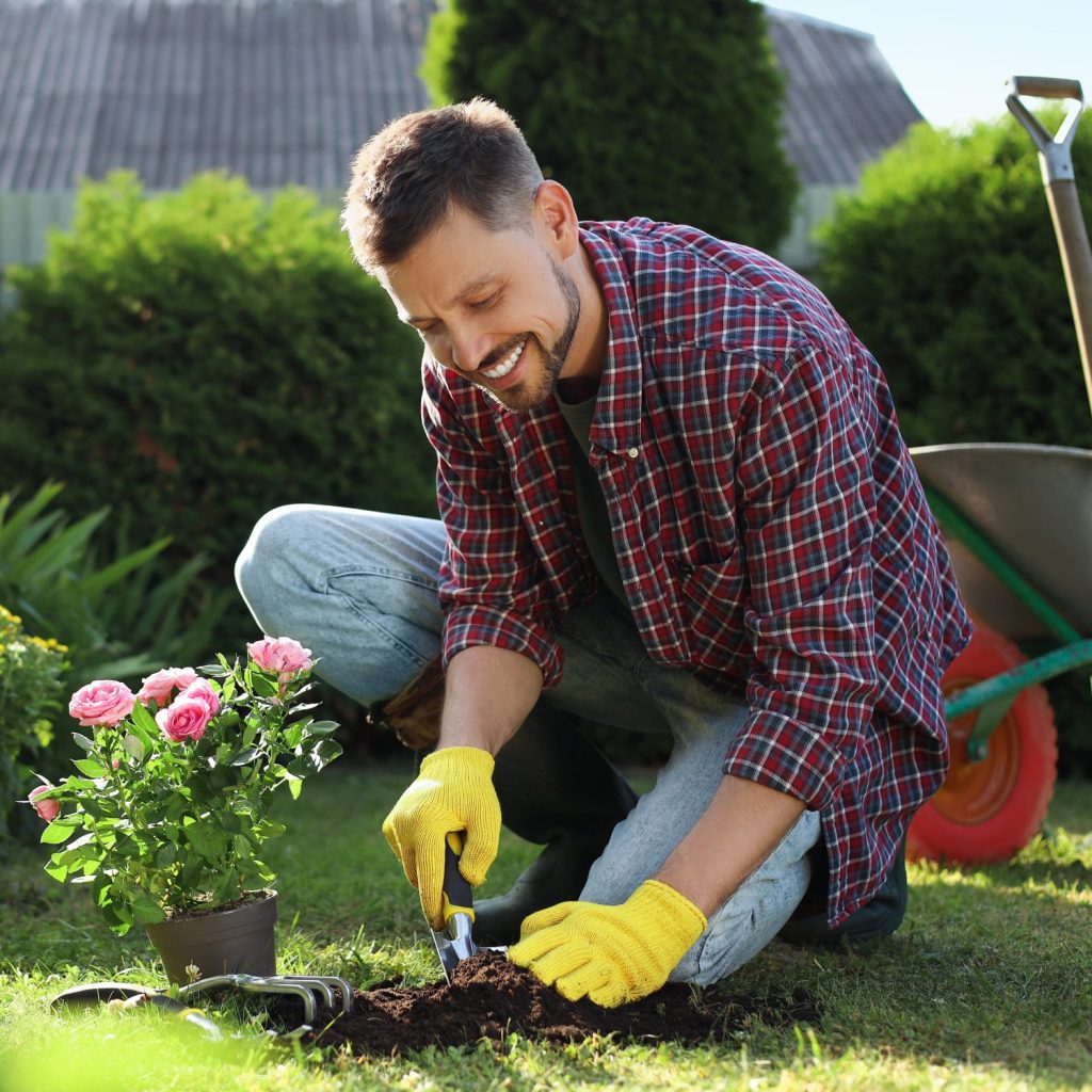 happy,man,transplanting,beautiful,flowers,into,soil,outdoors,on,sunny